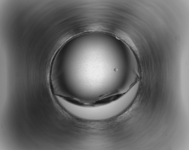 X0000094200946200711091217