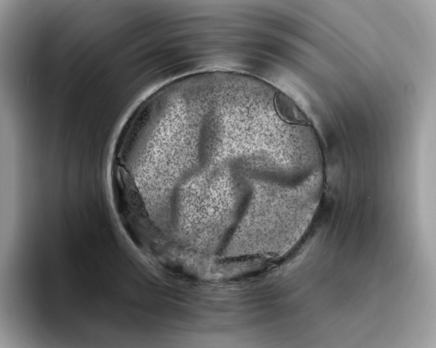 X0000094200947200711091217