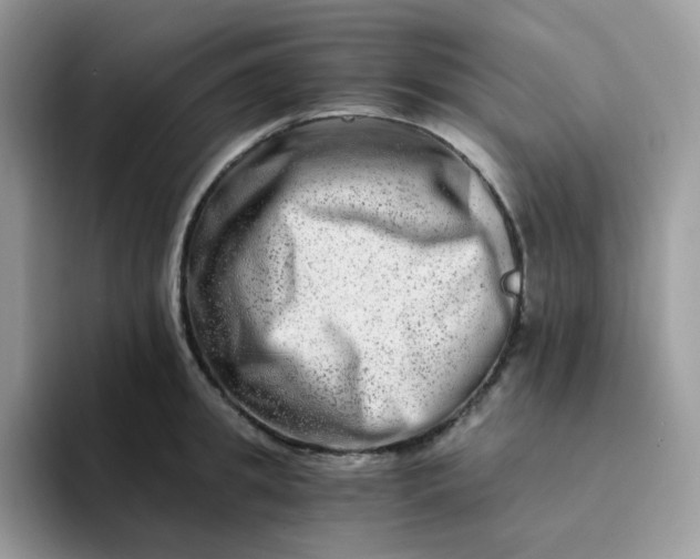 X0000094200949200711091217