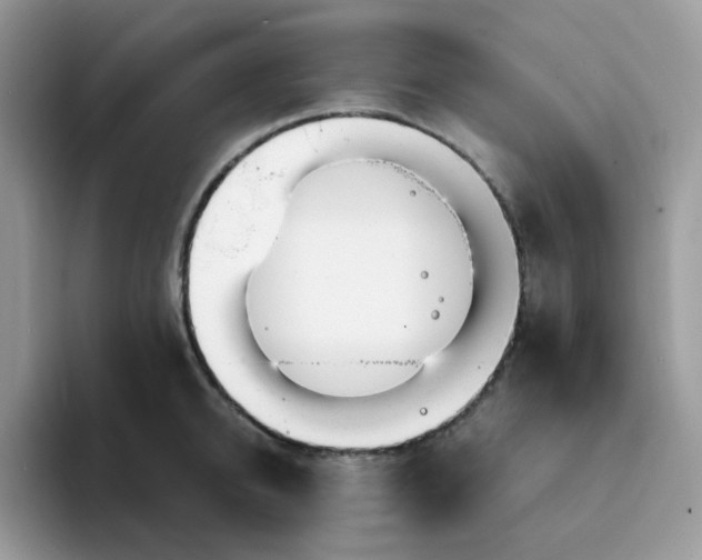 X0000094200950200711091217