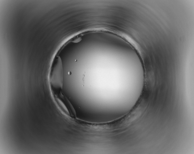 X0000094200951200711091217