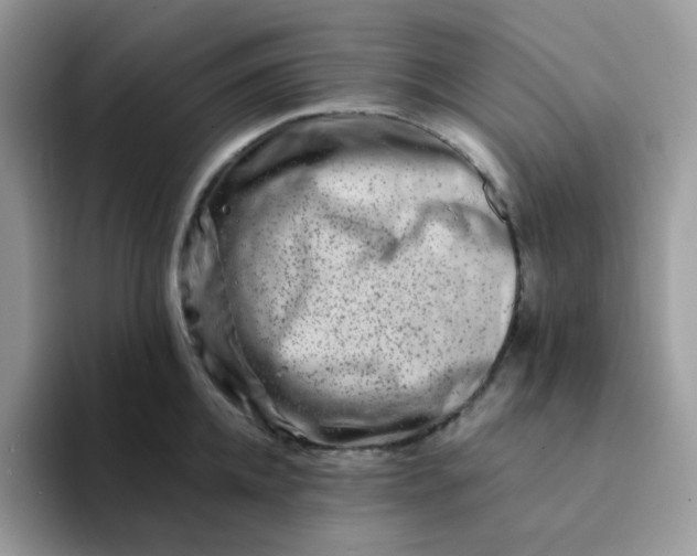 X0000094200952200711091217