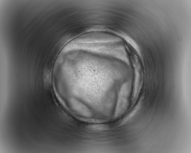 X0000094200953200711091217