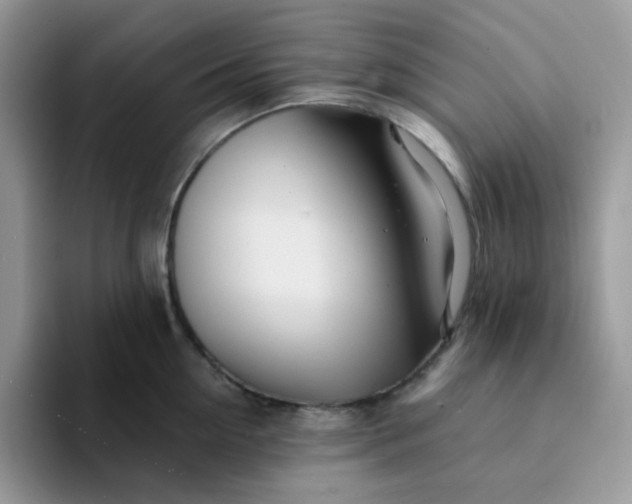 X0000094200954200711091217