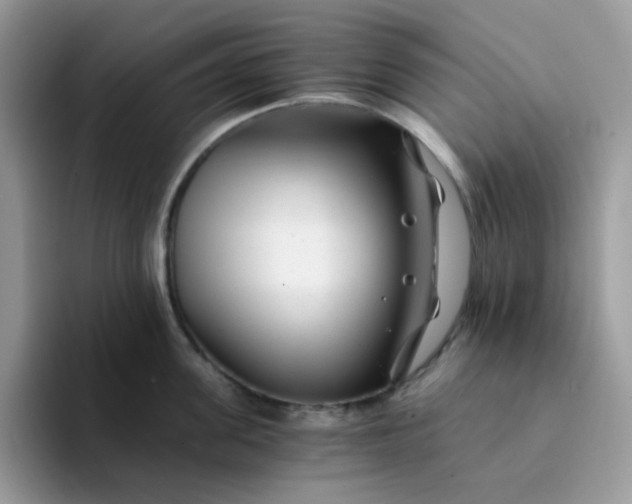 X0000094200955200711091217