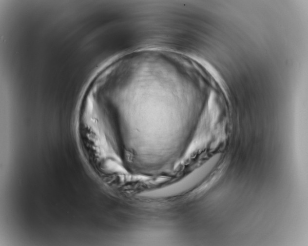 X0000094200957200711091217