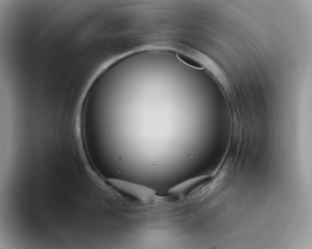 X0000094200958200711091217