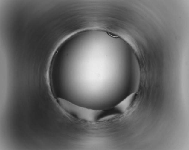 X0000094200959200711091217