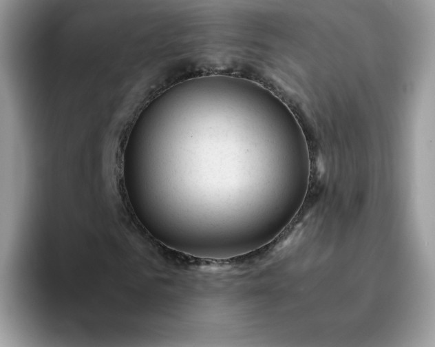 X0000094200961200711091216