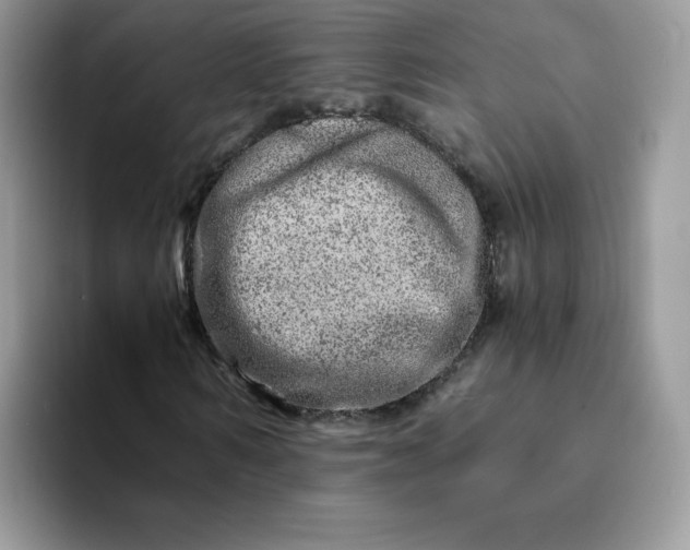 X0000094200962200711091216