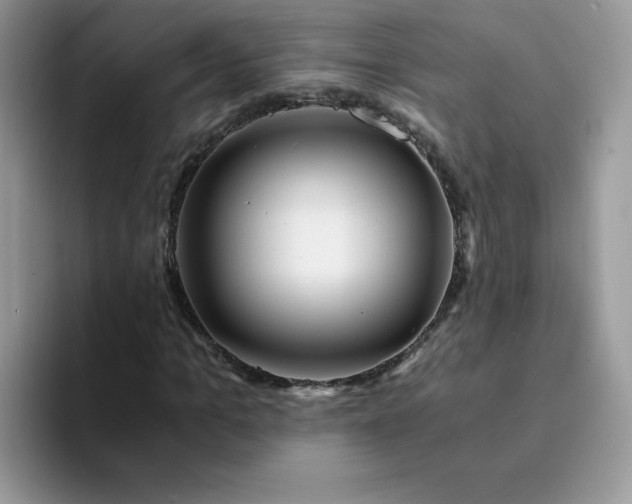 X0000094200965200711091216