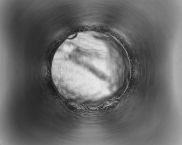 X0000094200966200711091216