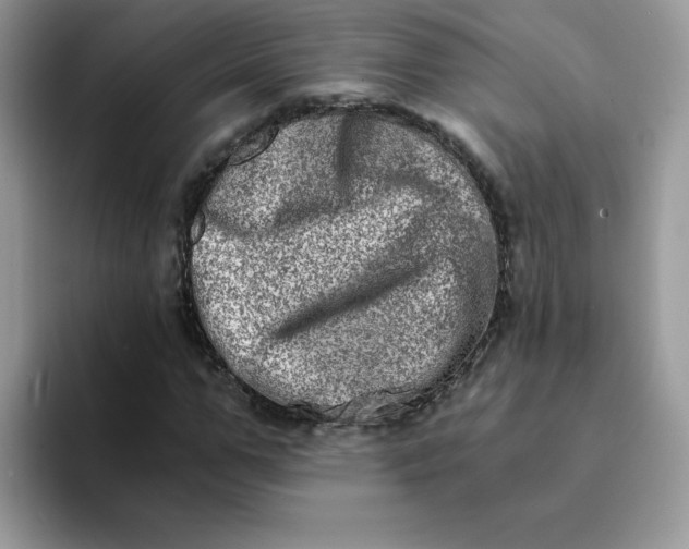 X0000094200967200711091216