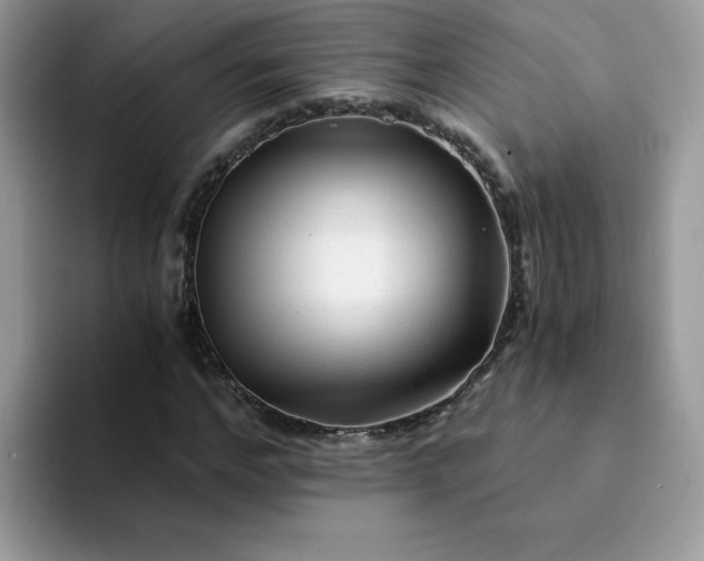 X0000094200968200711091216