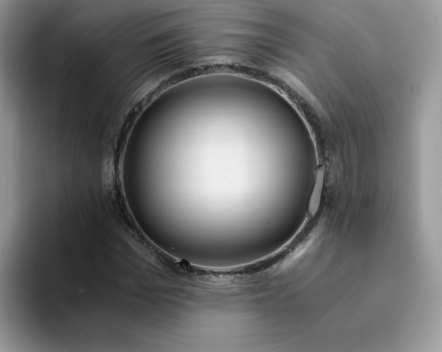 X0000094200969200711091216