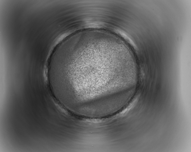 X0000094200970200711091216