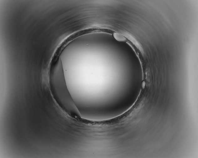 X0000094200972200711091216