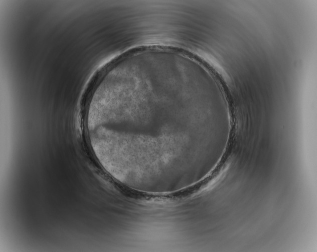 X0000094200974200711091216