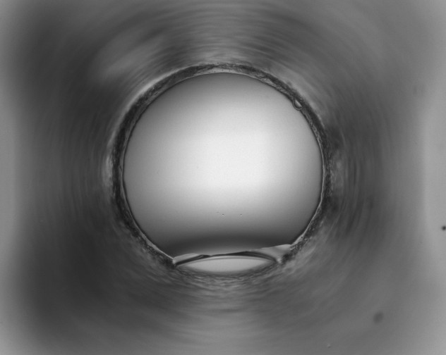 X0000094200975200711091216