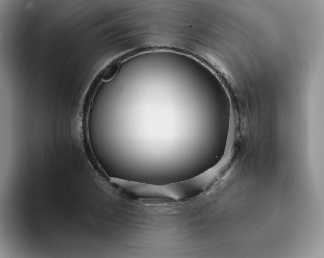 X0000094200976200711091216