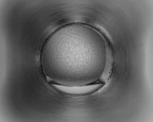 X0000094200977200711091216