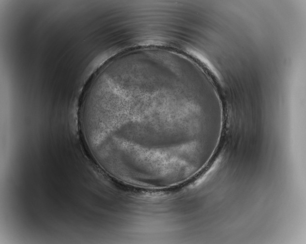 X0000094200978200711091216