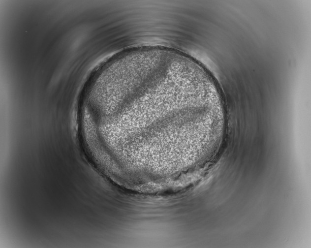 X0000094200979200711091216