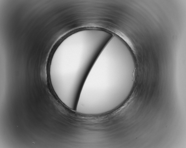 X0000094200980200711091216