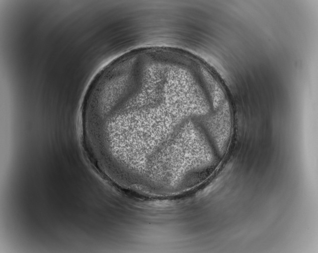 X0000094200982200711091216