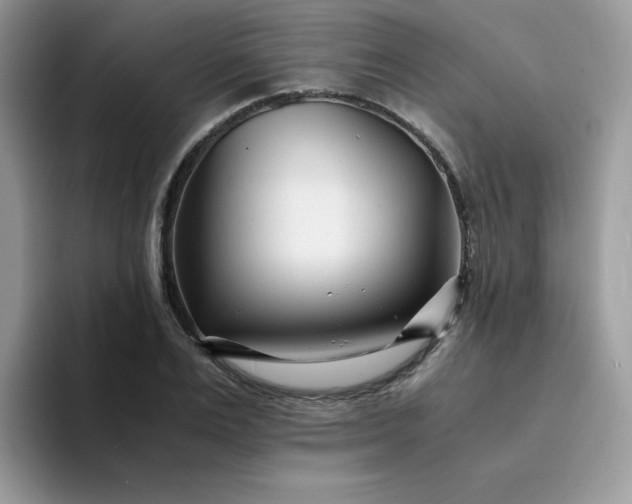 X0000094200983200711091216