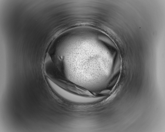 X0000094200985200711091216