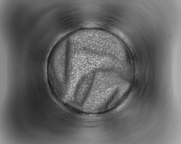 X0000094200986200711091216