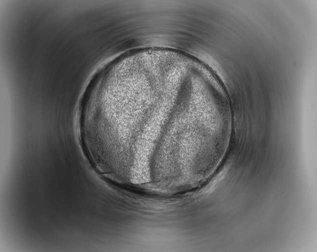 X0000094200987200711091216