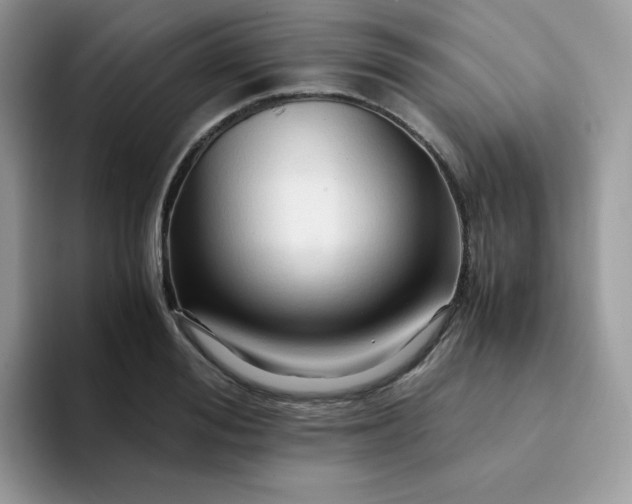 X0000094200988200711091216