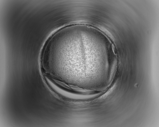 X0000094200989200711091216