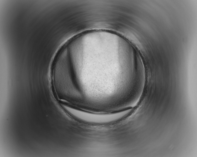 X0000094200990200711091216