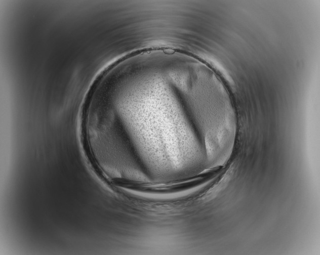 X0000094200991200711091216