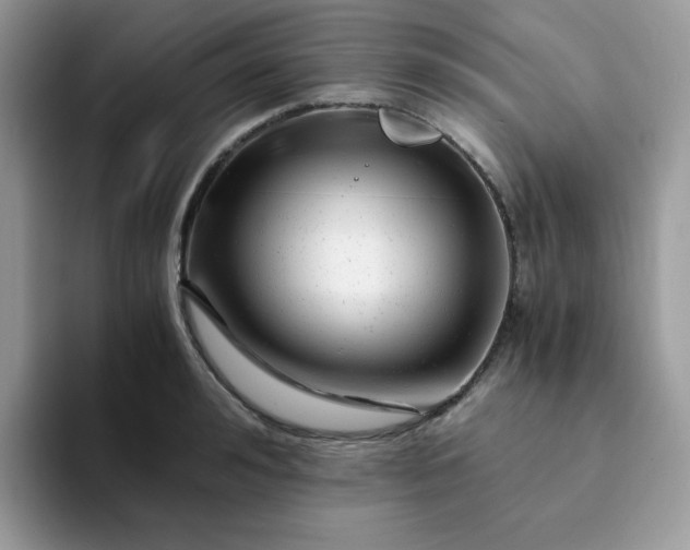 X0000094200992200711091216