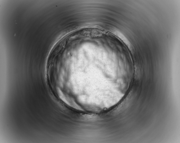 X0000094200994200711091216