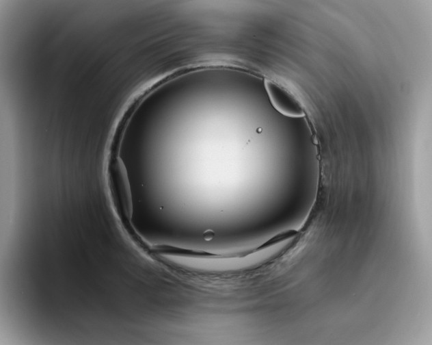 X0000094200995200711091216