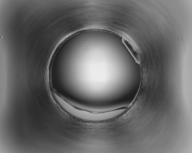 X0000094200996200711091216