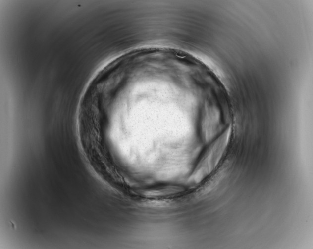 X0000094200998200711091216