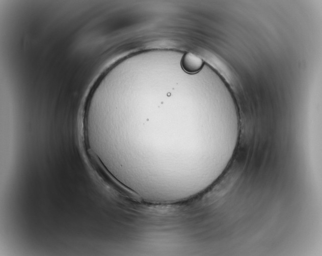 X0000094201000200711091216