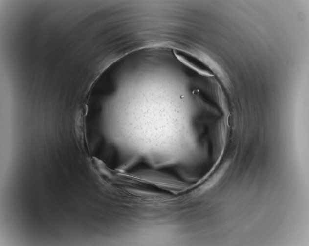 X0000094201001200711091216