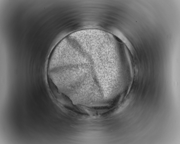 X0000094201002200711091216