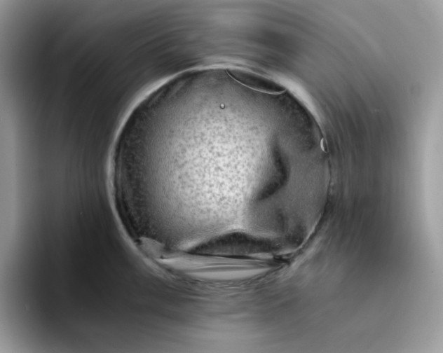 X0000094201003200711091216