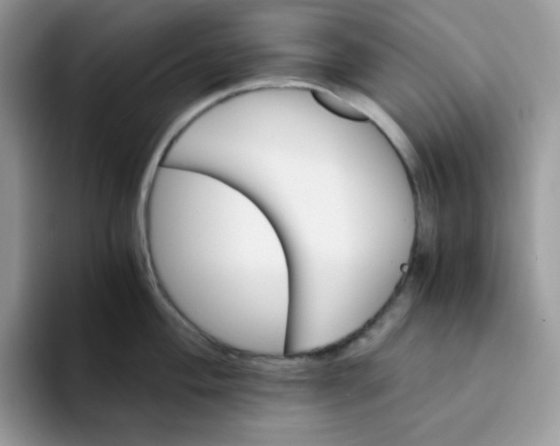 X0000094201004200711091216