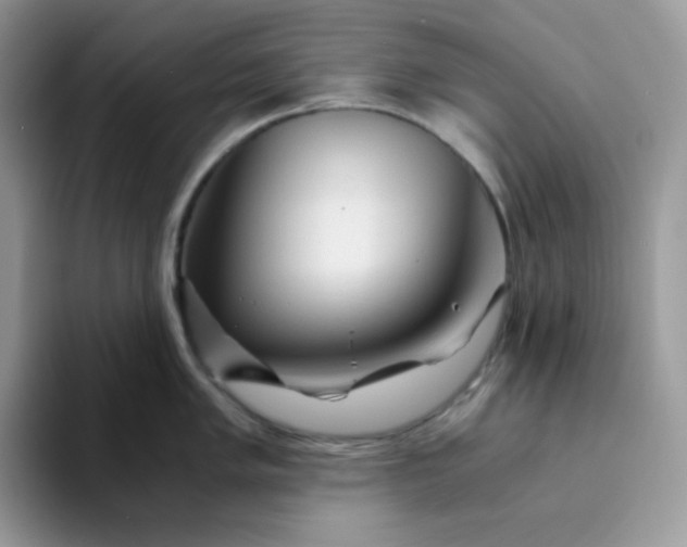 X0000094201005200711091216