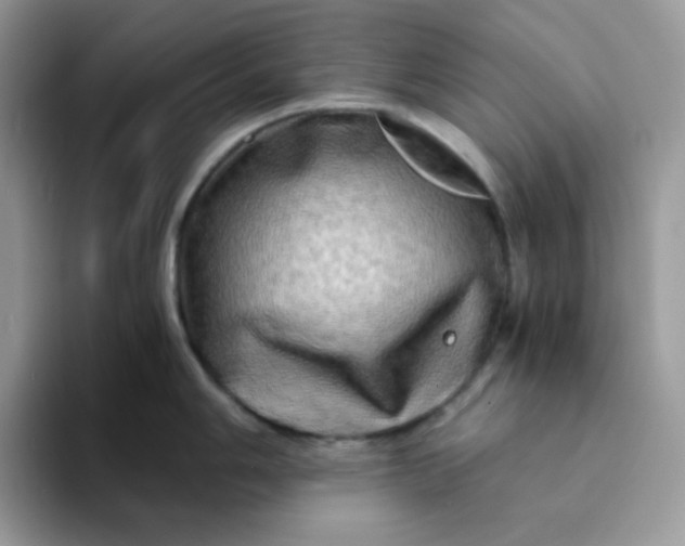 X0000094201006200711091216