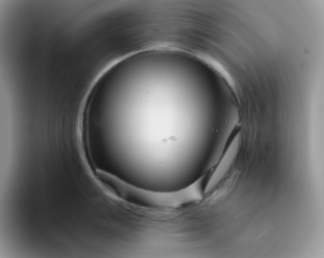 X0000094201007200711091216